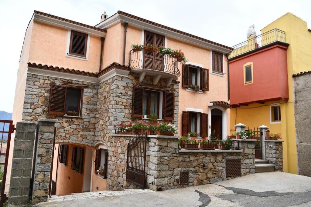 B&B Peonia Orgosolo Kültér fotó
